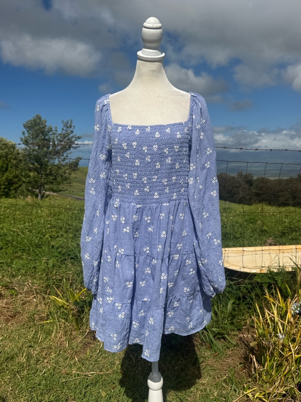 NWT Arula Blue Embordered Smocked Mini Dress Western Cottage  Xl
